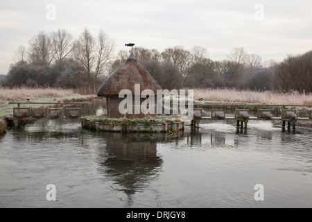 Frost auf dem Fluss Test und strohgedeckten Fischerhütte, Longstock, Hampshire, England Stockfoto