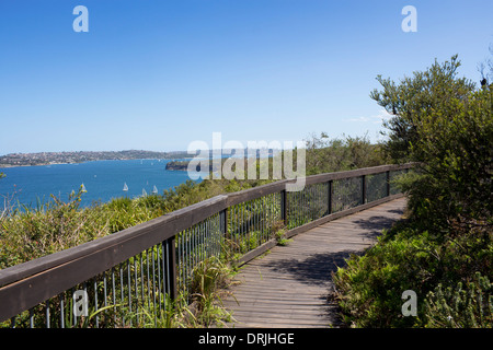 Boardwalk durch Buschland Bush Buschwanderung Bushwalk mit Blick auf Sydney Harbour National Park Sydney New South Wales Australien Stockfoto