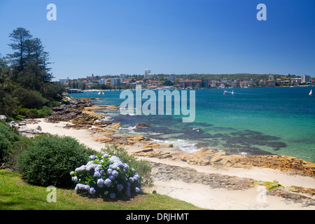 Delwood Strand mit Blick über Manly Cove Gewässer zum North Head Manly Sydney New South Wales NSW Australia Stockfoto