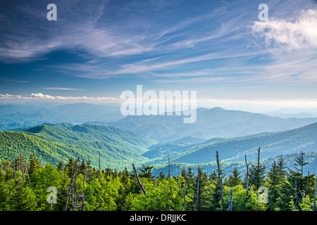 Blick vom Clingmans Kuppel im Great Smoky Mountains National Park in der Nähe von Gatlinburg, Tennessee. Stockfoto