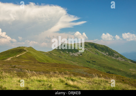 Tarnica peak in Bieszczady Gebirge Polen Stockfoto