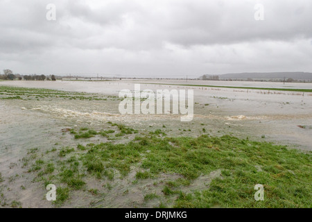 Fluß Parrett überläuft seinen Ufern auf Aller Moor bei Stathe, in der Nähe von Burrowbridge auf den Somerset Levels, mit der wachsenden Flut. Stockfoto