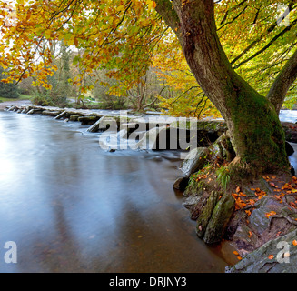 Herbst am Tarr Schritte auf dem River Barle, Exmoor National Park, Somerset, England, UK Stockfoto