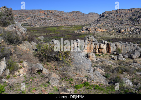 Blick in die Landschaft des Berges Ceder Wildnisgebiet Clanwilliam, Westkap, Westkap, Südafrika, Afrika, Blick in Stockfoto