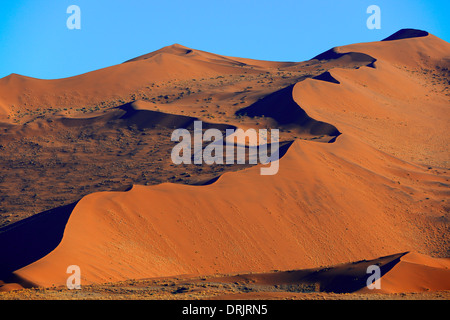 gigantische Sanddünen in der ersten Morgen Licht, Namib Naukluft Nationalpark, Sossusvlei, Namibia, Afrika, Riesige Sandduenen ich Stockfoto