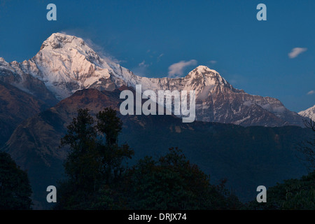 Annapurna South (7291m) und Hiunchuli in der Abenddämmerung gesehen von Tadopani in das Annapurna-Gebiet von Nepal Stockfoto