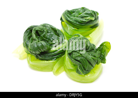 Gekochter Chinakohl isoliert auf weiss. Beilage zu Chili-Sauce der Thai-Küche. Stockfoto