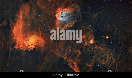 Deep Space Bilder in Farbe - die Kaulquappen, Flaming Star und Spider-Nebel Stockfoto