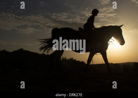 Pferd Reiten silhouette Stockfoto