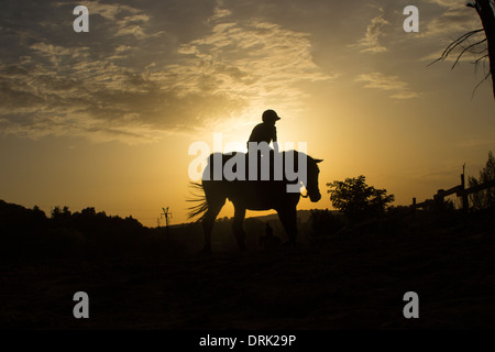 Pferd Reiten silhouette Stockfoto