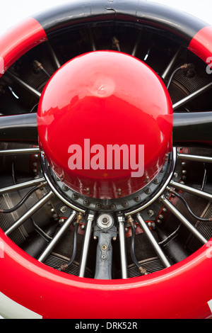 Motor des Harvard-Flugzeuge Stockfoto