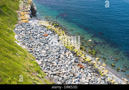 Felsigen Bucht an der Küste der irischen See im County Wicklow aus dem Bray, Greystones Küstenweg Stockfoto