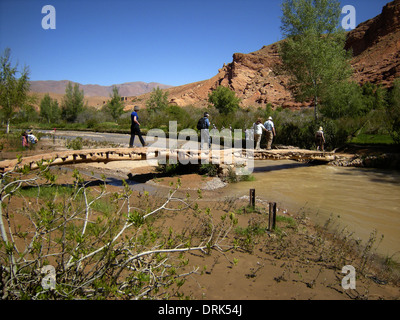 Touristen überqueren Sie eine Brücke über Wadi/Fluss Todra von einer Oase in das Tal von einem tausend Kasbahs, Südmarokko, Nordafrika Stockfoto