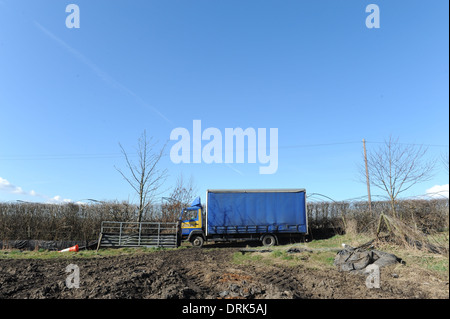 Oldroyds Rhabarber Bauernhof in Carlton in der Nähe von Wakefield in West Yorkshire, England uk Stockfoto