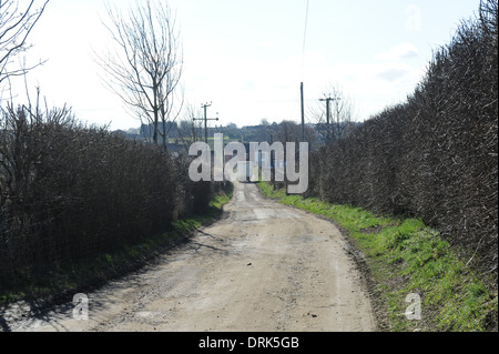 Oldroyds Rhabarber Bauernhof in Carlton in der Nähe von Wakefield in West Yorkshire, England uk Stockfoto