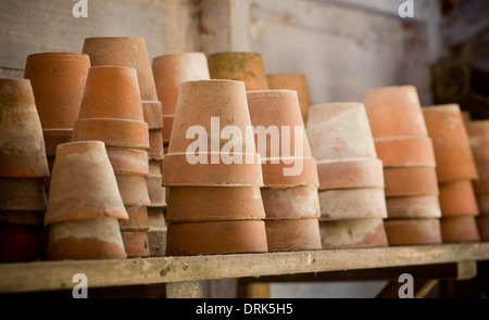 Töpfe aus Terrakotta-Pflanzen auf einem Topfschuppen-Regal gestapelt. Stockfoto