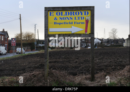 Oldroyds Rhabarber Bauernhof in Carlton in der Nähe von Wakefield in West Yorkshire, England uk Stockfoto