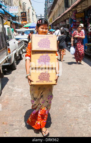 Mädchen tragen Kisten mit besondere Trauben in Yangon, Myanmar Stockfoto