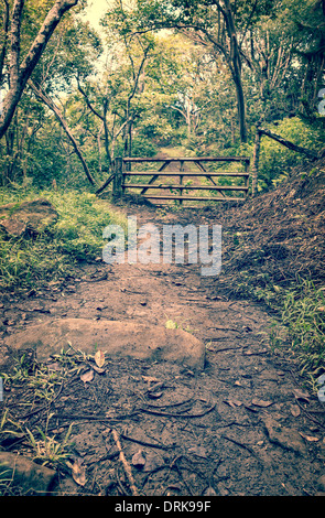 Eine schlammige tropischen Dschungel Trail führt zu einem Tor in der Ferne. Stockfoto