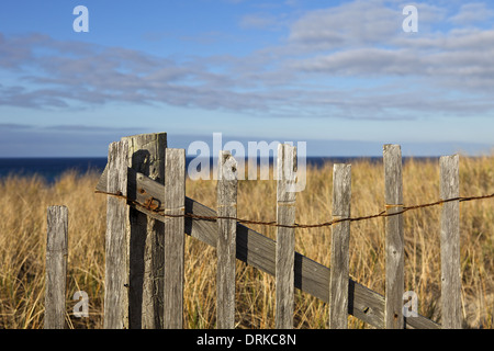 Verwitterten Zaun entlang der Cape Cod National Seashore in Provincetown Stockfoto