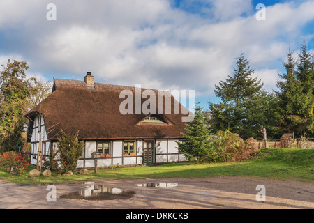Fachwerkhaus mit Reetdach in Zirkow, Insel Rügen, Mecklenburg-Western Pomerania, Deutschland, Europa Stockfoto