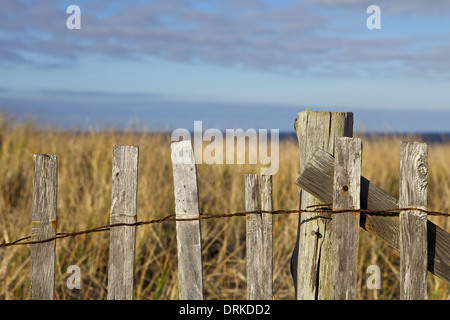 Verwitterten Zaun entlang der Cape Cod National Seashore in Provincetown Stockfoto