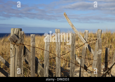 Verwitterten Zaun entlang der Cape Cod National Seashore in Provincetown Stockfoto