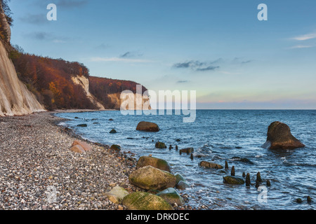 Steilküste mit den Kreidefelsen auf der Ostsee, Insel Rügen, Mecklenburg-Western Pomerania, Deutschland, Europa Stockfoto