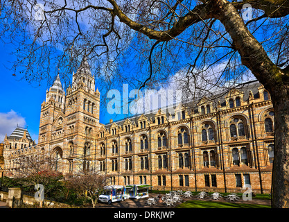 Das Natural History Museum ist eines der drei großen Museen auf Ausstellung Road, South Kensington, London, England Stockfoto