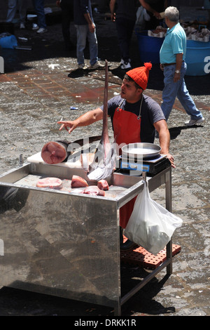 Fisch Verkäufer Feilschen in La Pescheria, Catania Fischmarkt, Sizilien Stockfoto