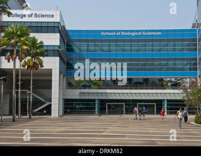 Studenten vom College von Biologie und Naturwissenschaften auf dem Campus der Nanyang technische University (NTU) in Singapur Stockfoto