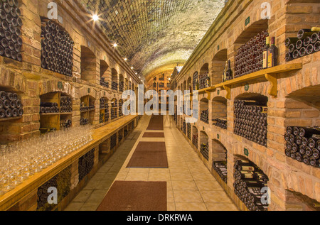 BRATISLAVA, Slowakei - 23. Januar 2014: Innere Wein callar des großen slowakischen Produzenten. Stockfoto