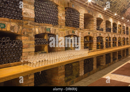 BRATISLAVA, Slowakei - 23. Januar 2014: Innere Wein callar des großen slowakischen Produzenten. Stockfoto