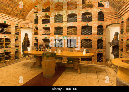 BRATISLAVA, Slowakei - 23. Januar 2014: Innere Wein callar des großen slowakischen Produzenten. Stockfoto