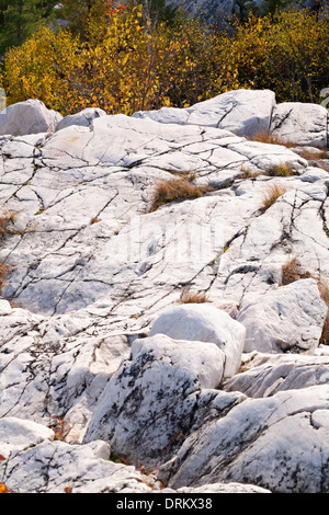 Ein Beispiel für White Quarzit-Felsen in Killarney Provincial Par, Ontario, Kanada. Stockfoto