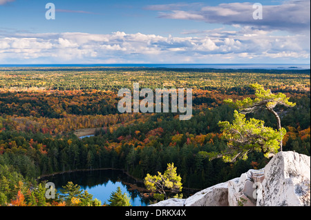 Eine einsame windgepeitschten Kiefer oben auf einem Felsvorsprung am "The Crack" in Killarney Provincial Park, Ontario, Kanada. Stockfoto