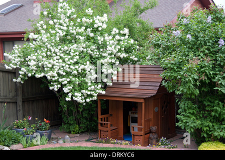 Schneeball Strauch in voller Blüte Stockfoto