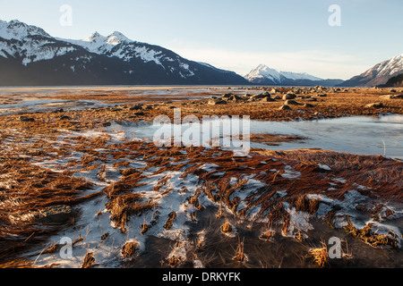 Malerischen Blick auf die Chilkat River in der Nähe von Haines Alaska an einem sonnigen Wintertag. Stockfoto