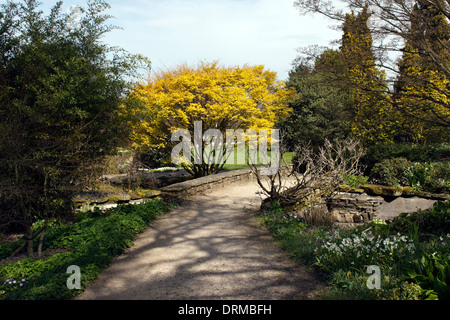 GEWUNDENER FUSSWEG DURCH EINEN ENGLISCHEN FRÜHLINGSGARTEN. Stockfoto