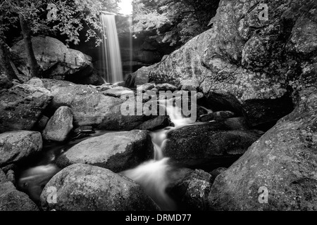 Adler fällt in Cumberland Falls State Park Resort, Kentucky Stockfoto