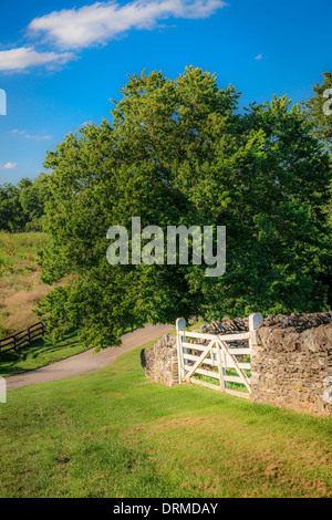 Weißes Tor in Steinmauer Stockfoto