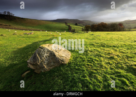 Studdrigg Narbe in der Nähe des Dorfes Wharfe, Yorkshire Dales National Park, England, UK Stockfoto