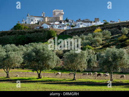 Portugal, Alentejo, Schafbeweidung in einem Feld unterhalb der Stadtmauer und alten Stadt Estremoz Stockfoto