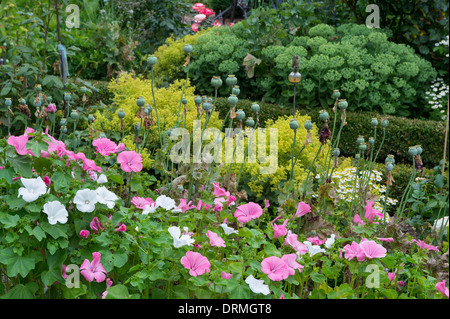 Bauerngarten in Elsten, Niedersachsen, Deutschland Stockfoto