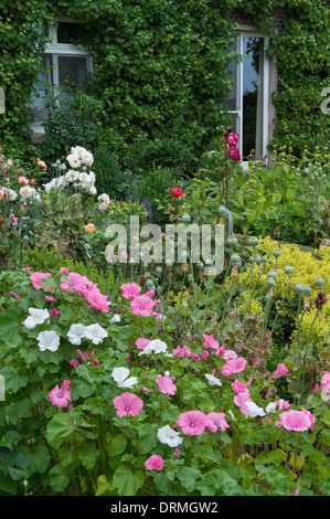 Bauerngarten in Elsten, Niedersachsen, Deutschland Stockfoto