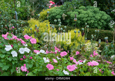 Bauerngarten in Elsten, Niedersachsen, Deutschland Stockfoto