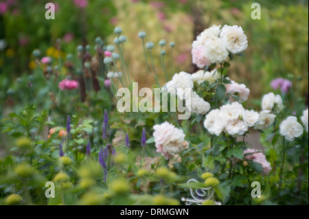 Bauerngarten in Elsten, Niedersachsen, Deutschland Stockfoto