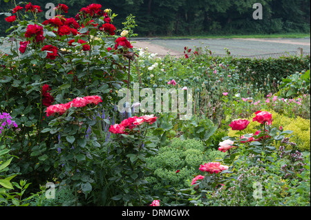 Bauerngarten in Elsten, Niedersachsen, Deutschland Stockfoto