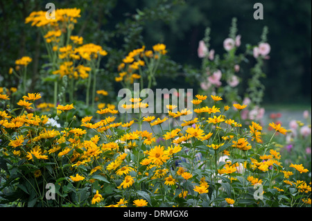 Bauerngarten in Elsten, Niedersachsen, Deutschland Stockfoto