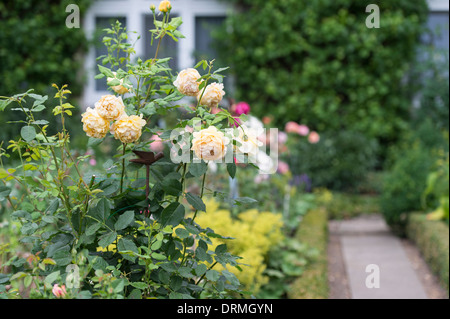 Bauerngarten in Elsten, Niedersachsen, Deutschland Stockfoto